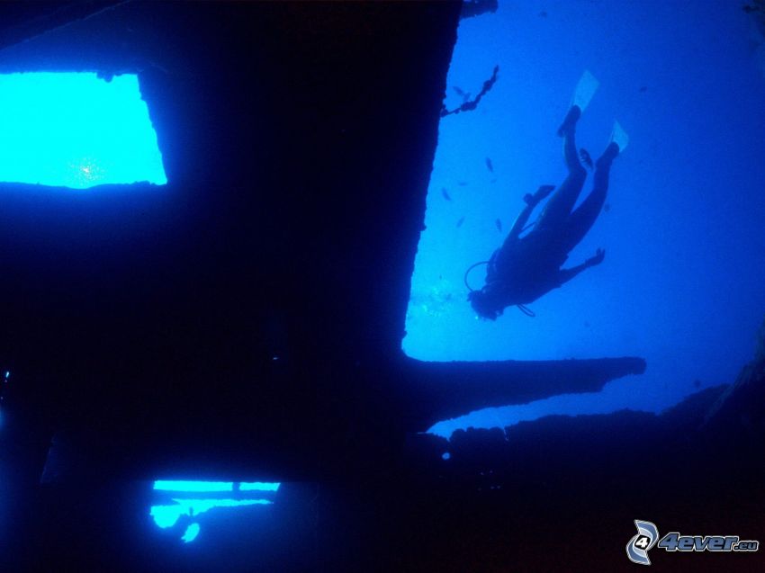 diver at wreck, sea