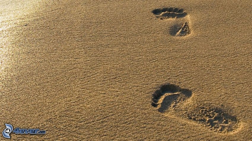 footprints in the sand, beach