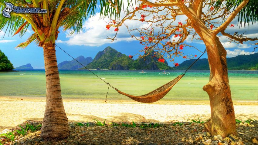 hammock, palm trees on the beach, sea, islands