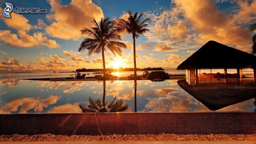 house on water, sunset behind the sea, palm trees
