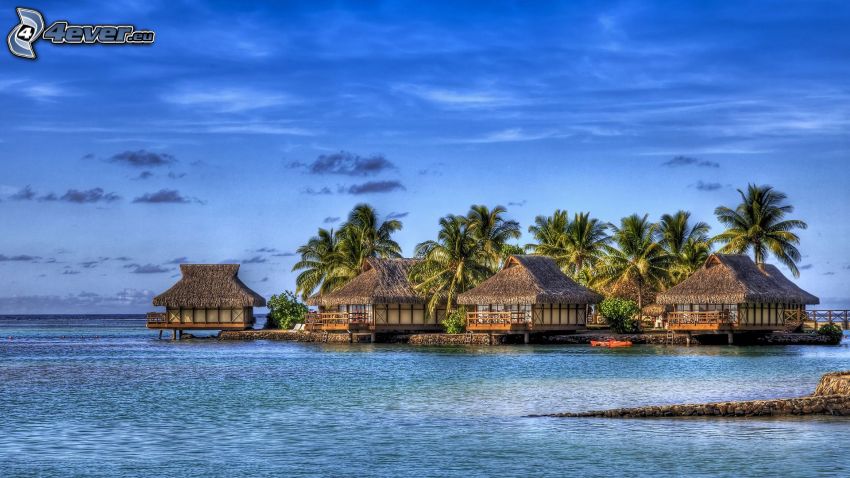 houses on the water, sea, palm trees, vacation, HDR