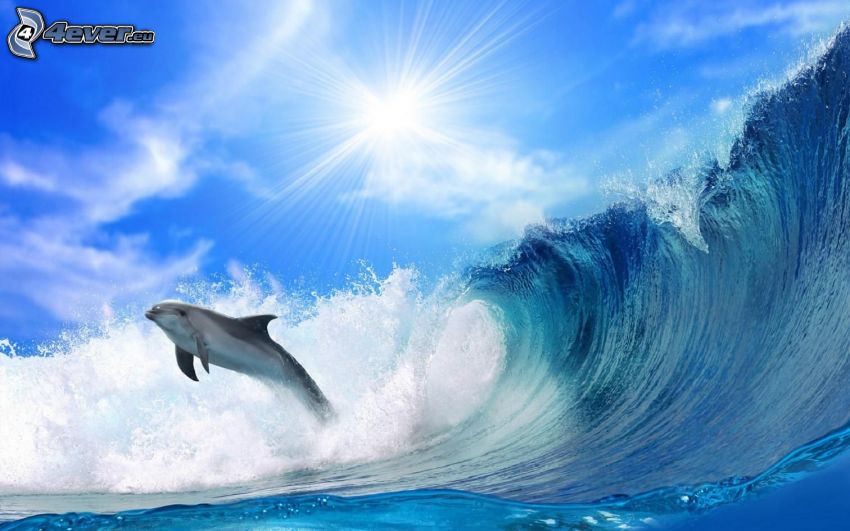 leaping dolphin, wave, sun