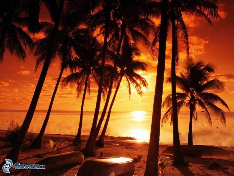 orange sunset over the sea, palm trees on the beach, boats, Haiti