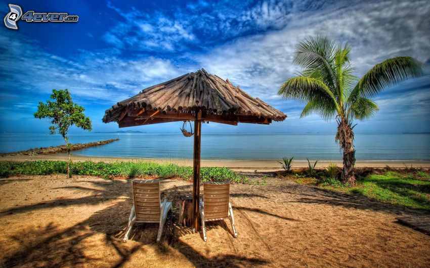 parasol, lounger, palm trees, open sea, HDR