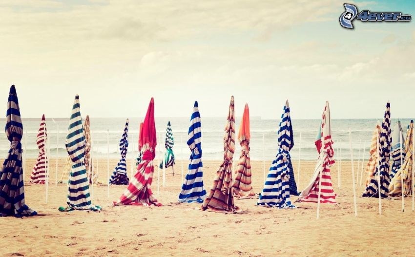 parasols on the beach, sandy beach