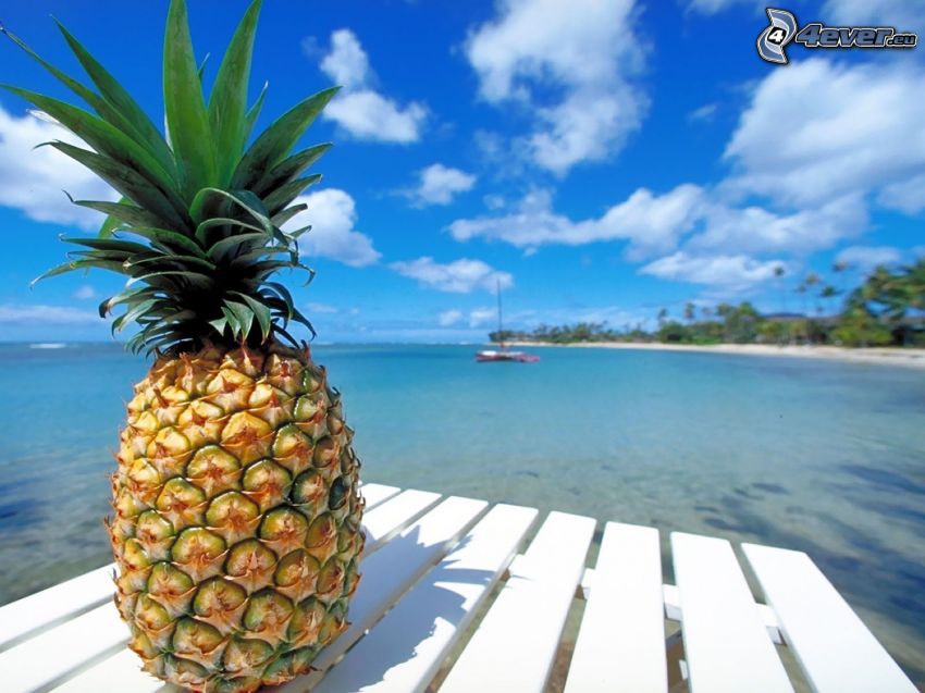 pineapple, sea