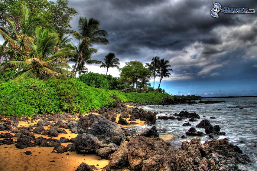 rocky beach, island, palm trees, greenery, sea, clouds, HDR