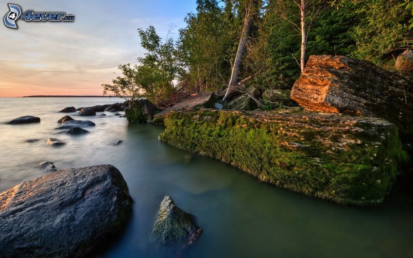 rocky shores, forest, sea