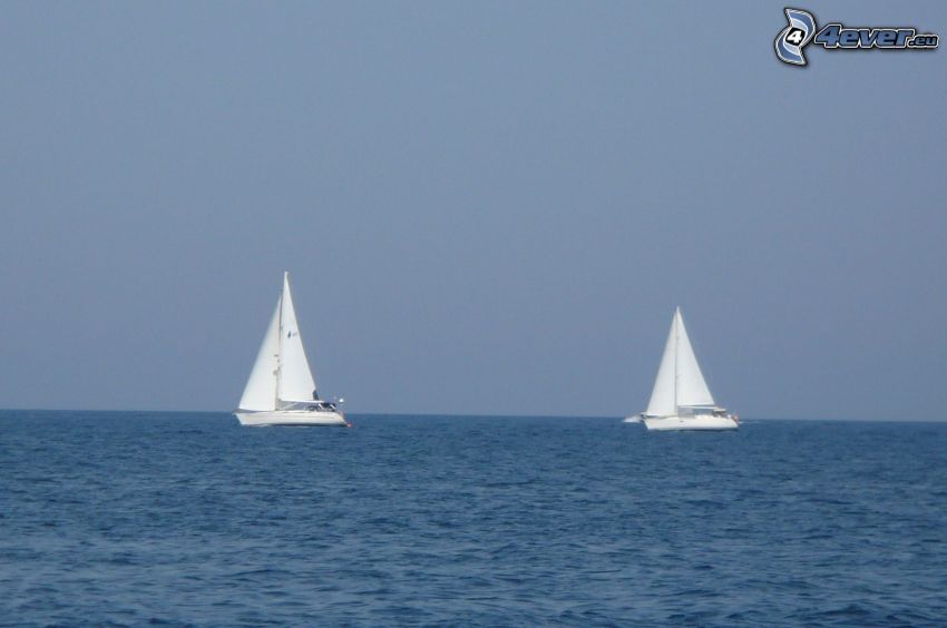 sailboats, sea
