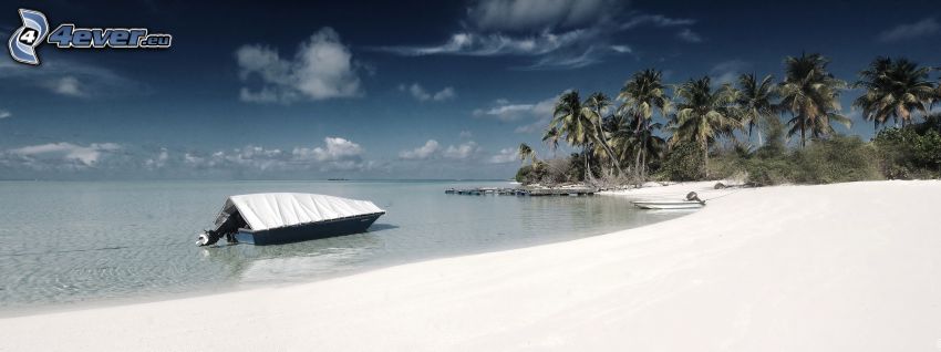 sandy beach, palm trees, sea, boat, panorama