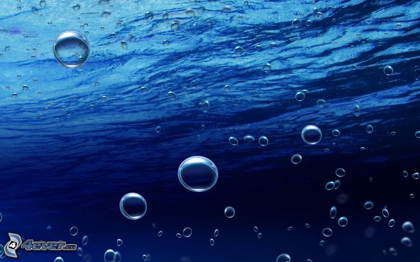 sea, bubbles