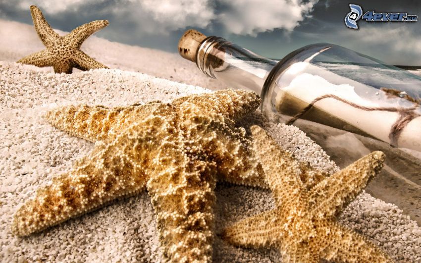 starfish, message in bottle, sand