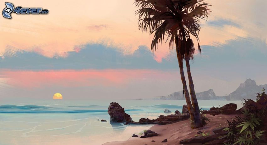 sunset behind the sea, coast, palm tree