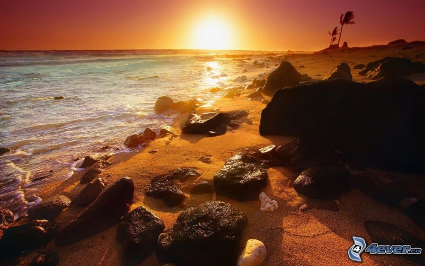 sunset on the rocky beach, sea