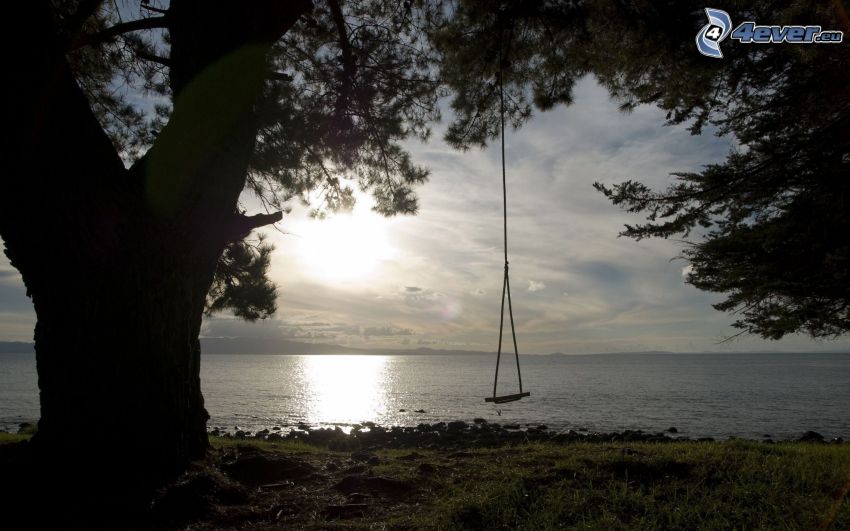 swing, tree, sea