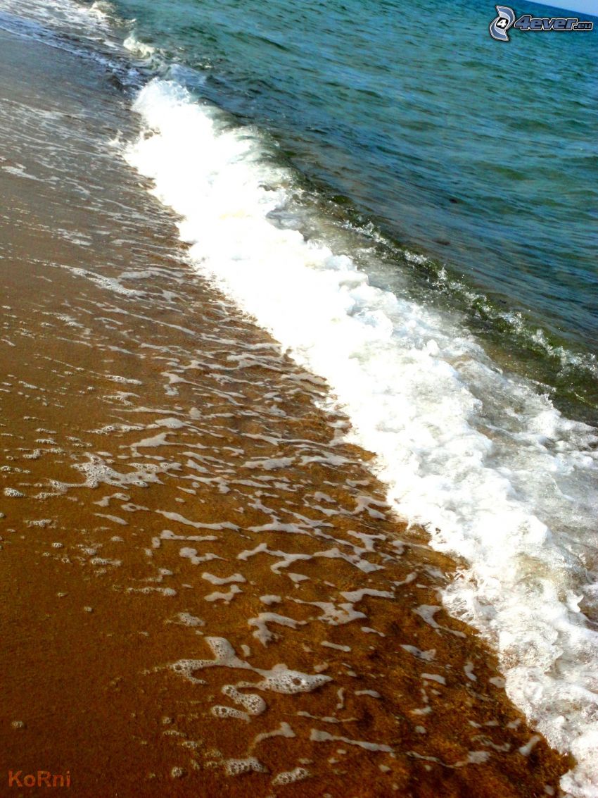 wave, coast