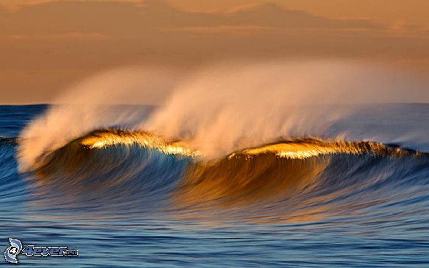 wave, sea