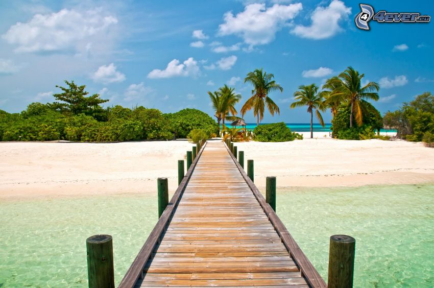 wooden pier, palm trees, sandy beach, greenery