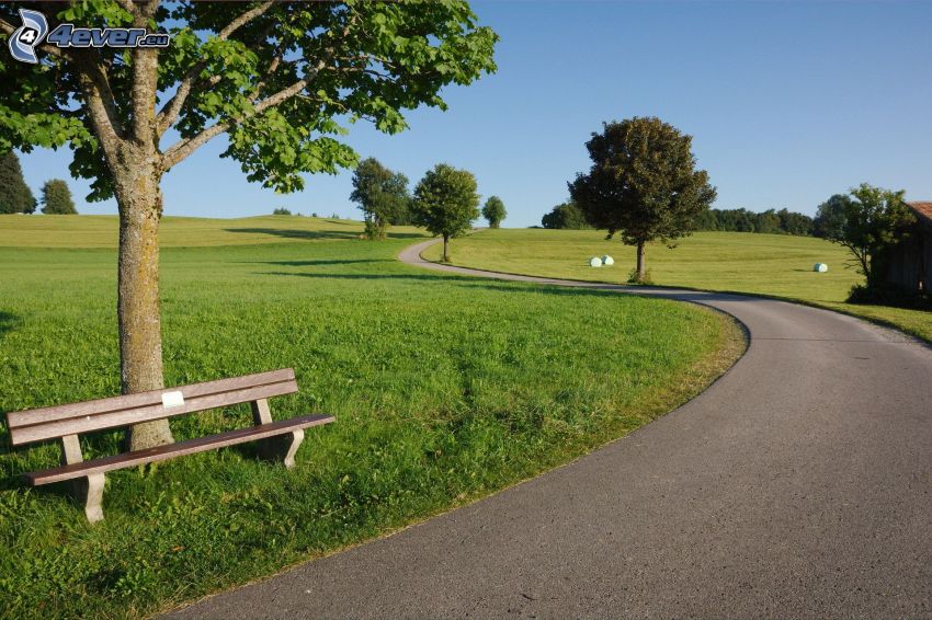 sidewalk, bench, meadows, trees