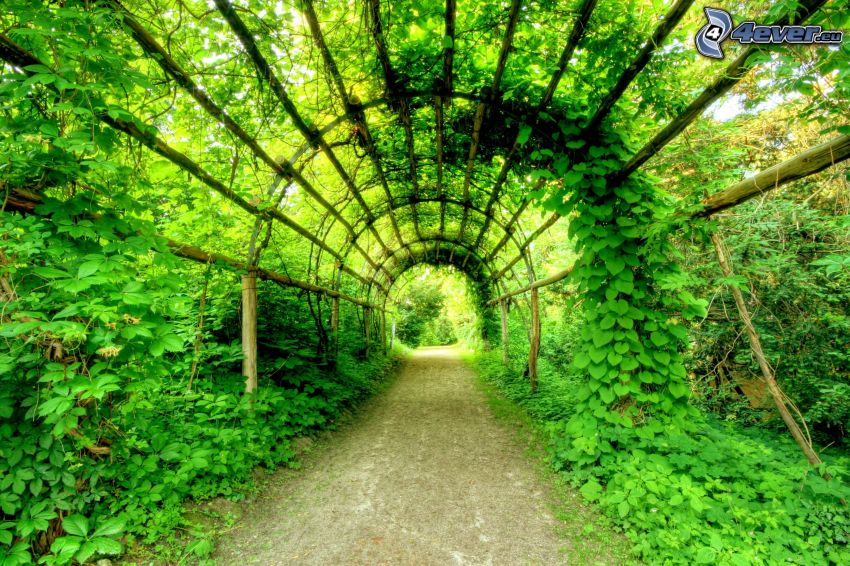 sidewalk, green tunnel