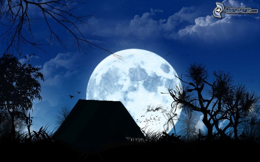 silhouette, Moon, cottage, full moon