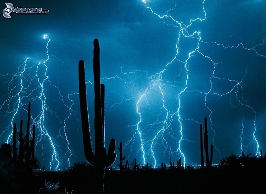 lightning, cacti