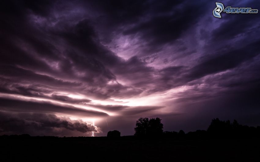storm clouds, lightning, silhouettes of the trees