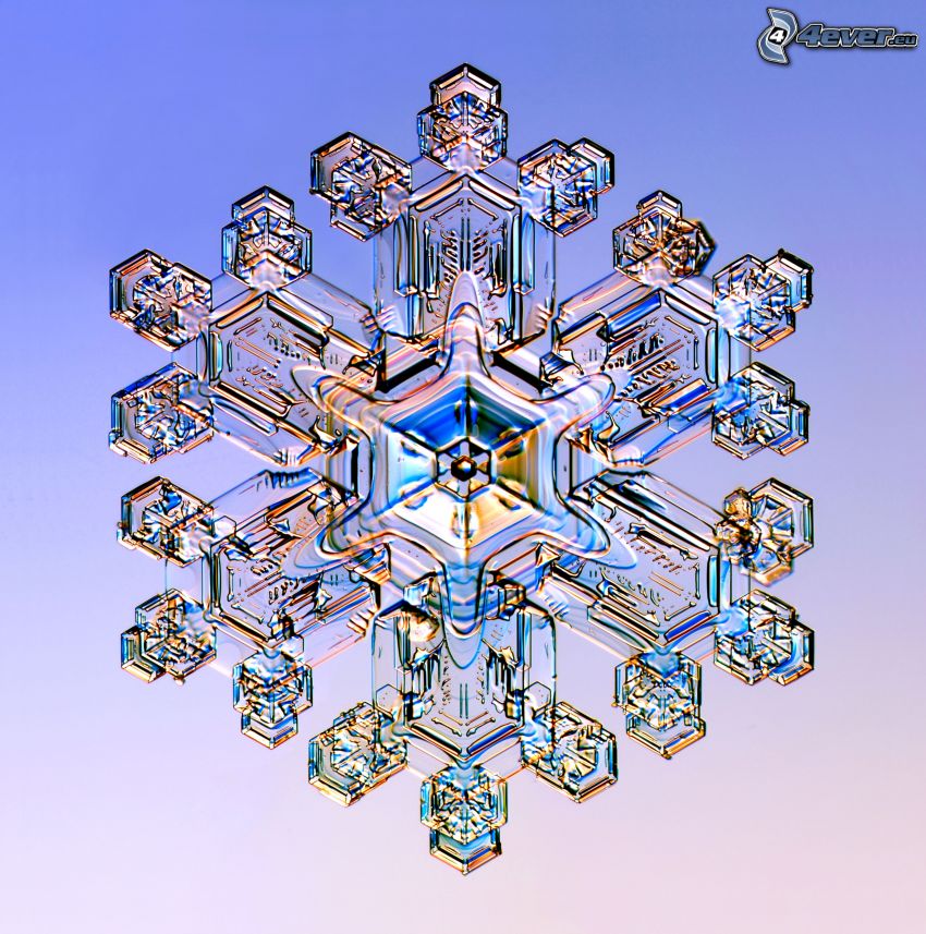 snow flake