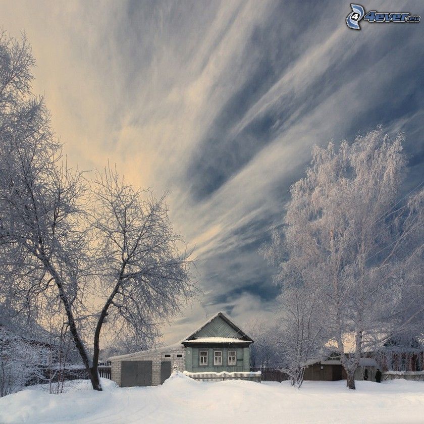 snowy house, snowy trees