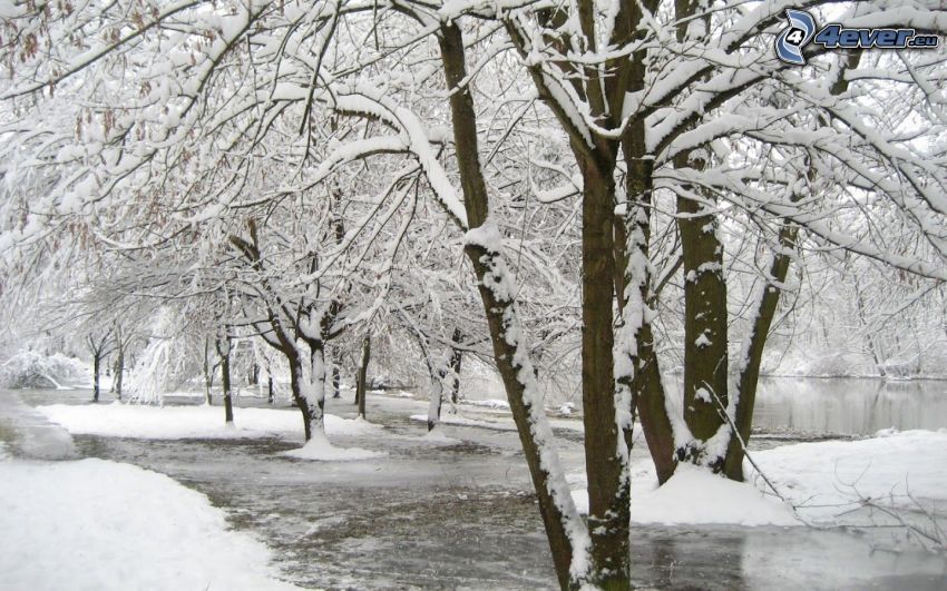 snowy landscape, River