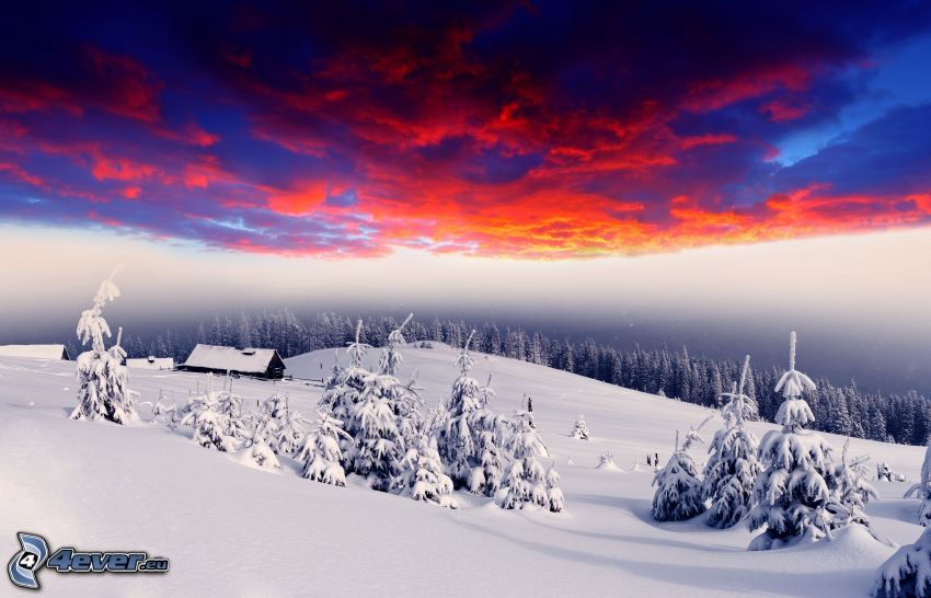 snowy landscape, snowy trees, sky, dark clouds, cottage
