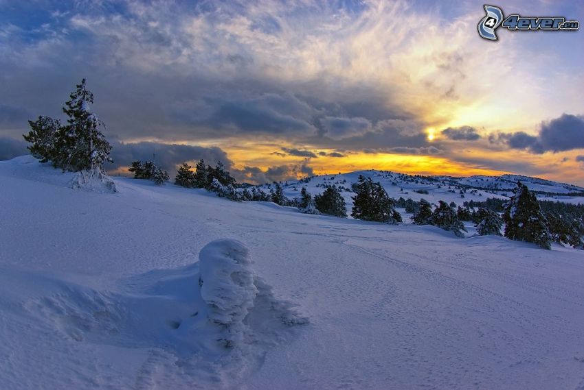snowy landscape, sunset