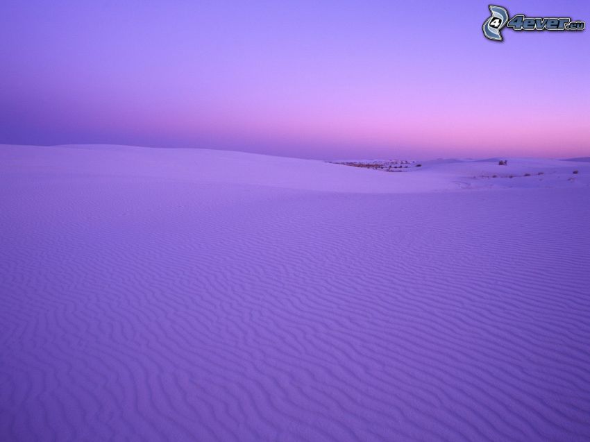 snowy meadow, purple sky