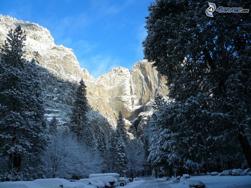 snowy Yosemite National Park