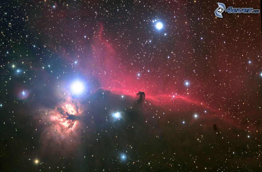 Horsehead Nebula, nebulae, stars