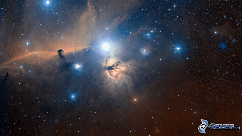 Horsehead Nebula, stars
