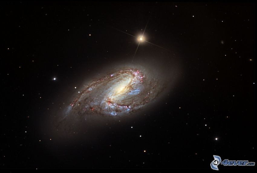 M66, spiral galaxy, stars