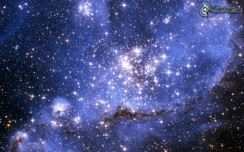 stars, nebulae