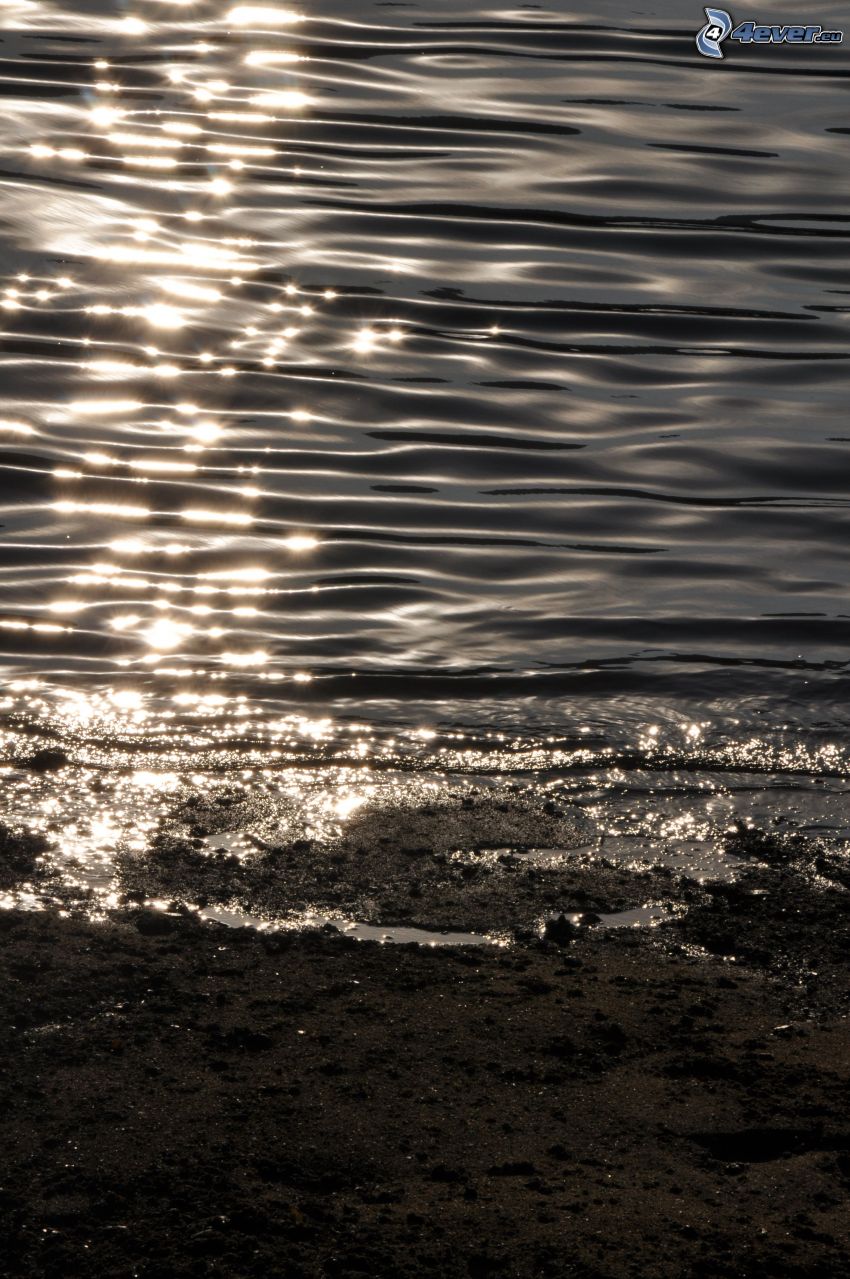 water, reflection of the sun