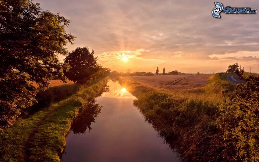 water canal, fields, sunset, trees