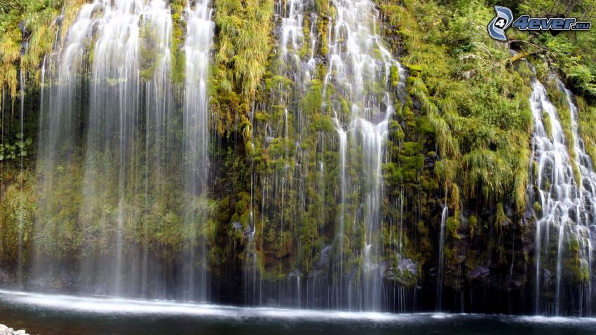 waterfall, greenery