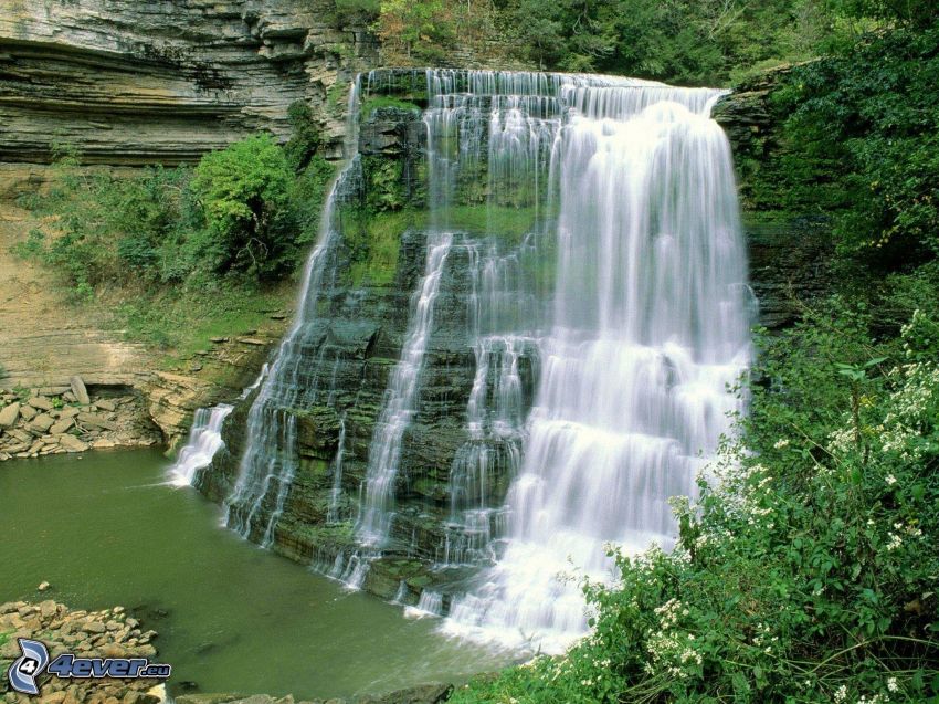 waterfall, greenery