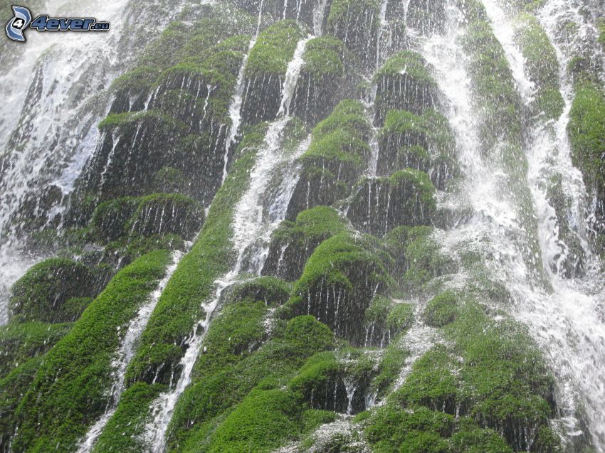 waterfall, moss
