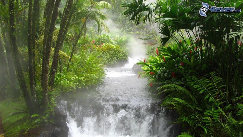 waterfall, River, greenery