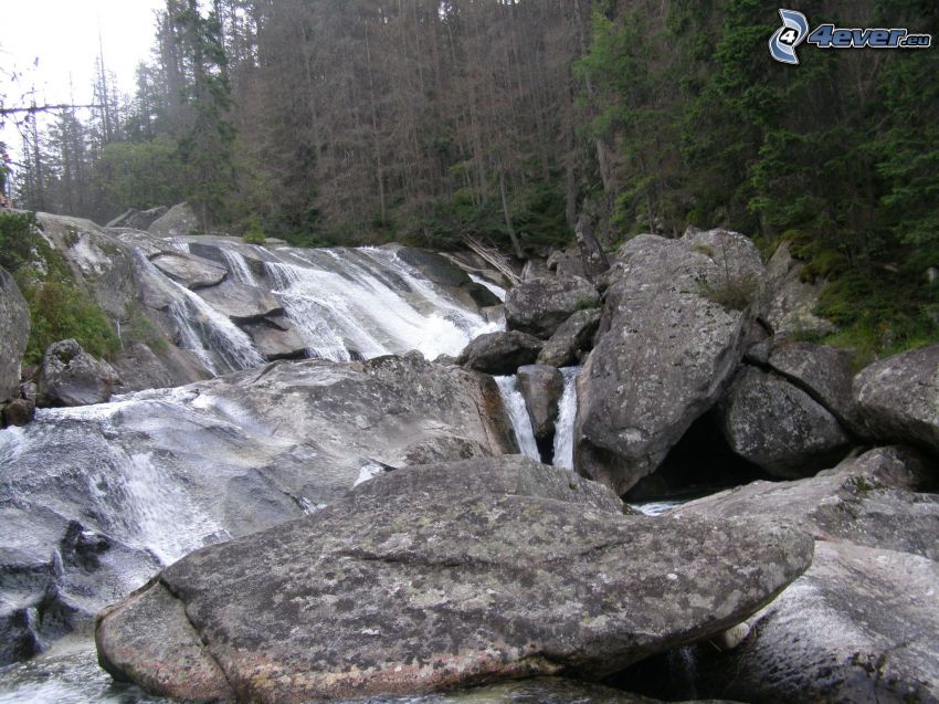 waterfall, rocks, forest