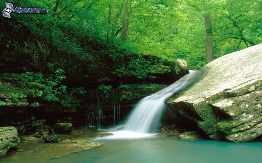waterfall, rocks, trees, greenery