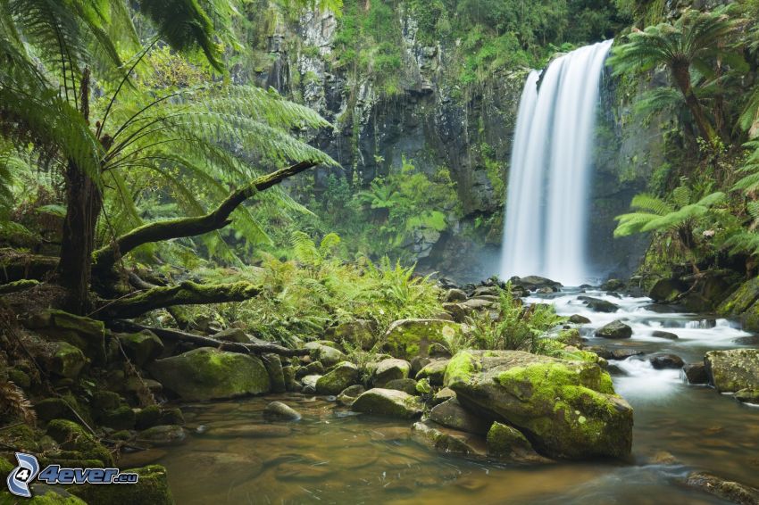 waterfall, stream, greenery, jungle