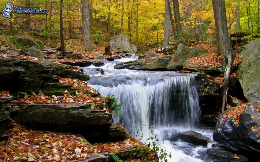 waterfalls, forest, autumn leaves