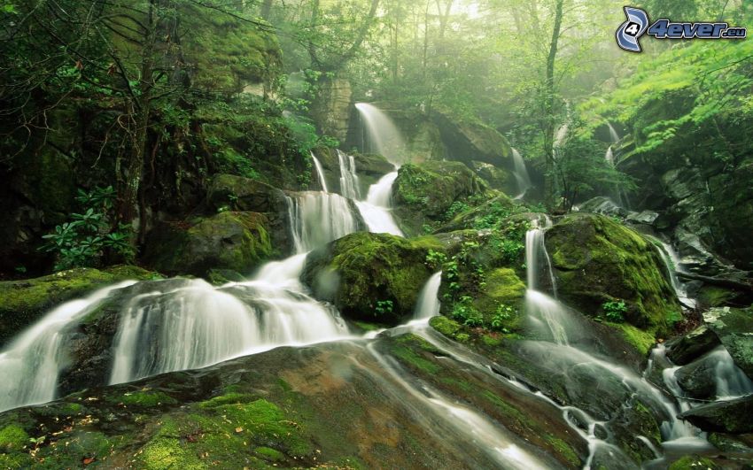 waterfalls, greenery