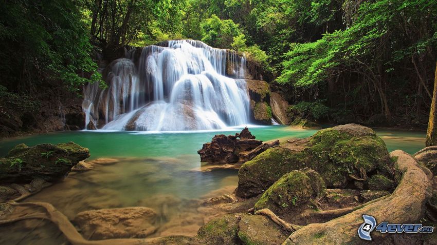 waterfalls, River, rocks, forest